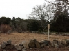 Blue-Bird-Boxes