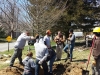 Odd-Fellow-Hall-Plantings-2