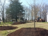 Odd-Fellow-Hall-Plantings