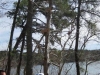 bakers-pond-overlook