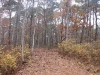 bakers-pond-trail