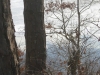 8Sunshine-on-the-Pond