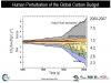 biopact_global-carbonflux