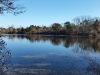 20151205_101339