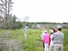 Walking Through Bog