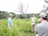 Describing Vegetation