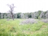 Scenery