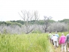 Deeper Into the Bog