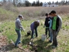 Working with the Riverview school to plant native shrubs on the George White gift