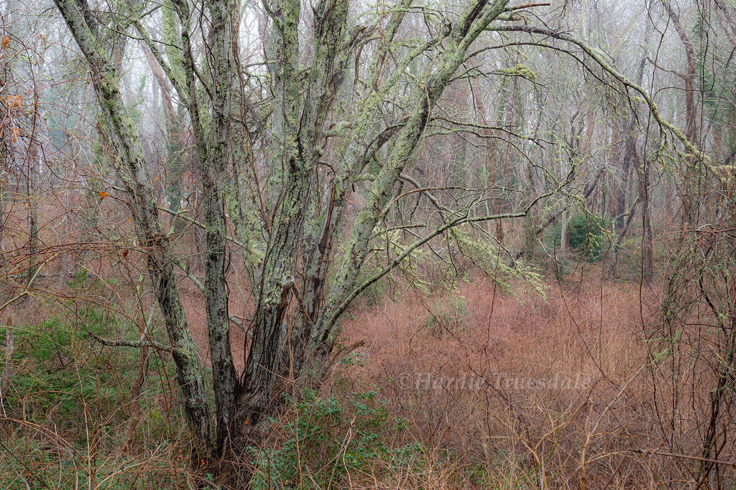 Photo © Hardie Truesdale