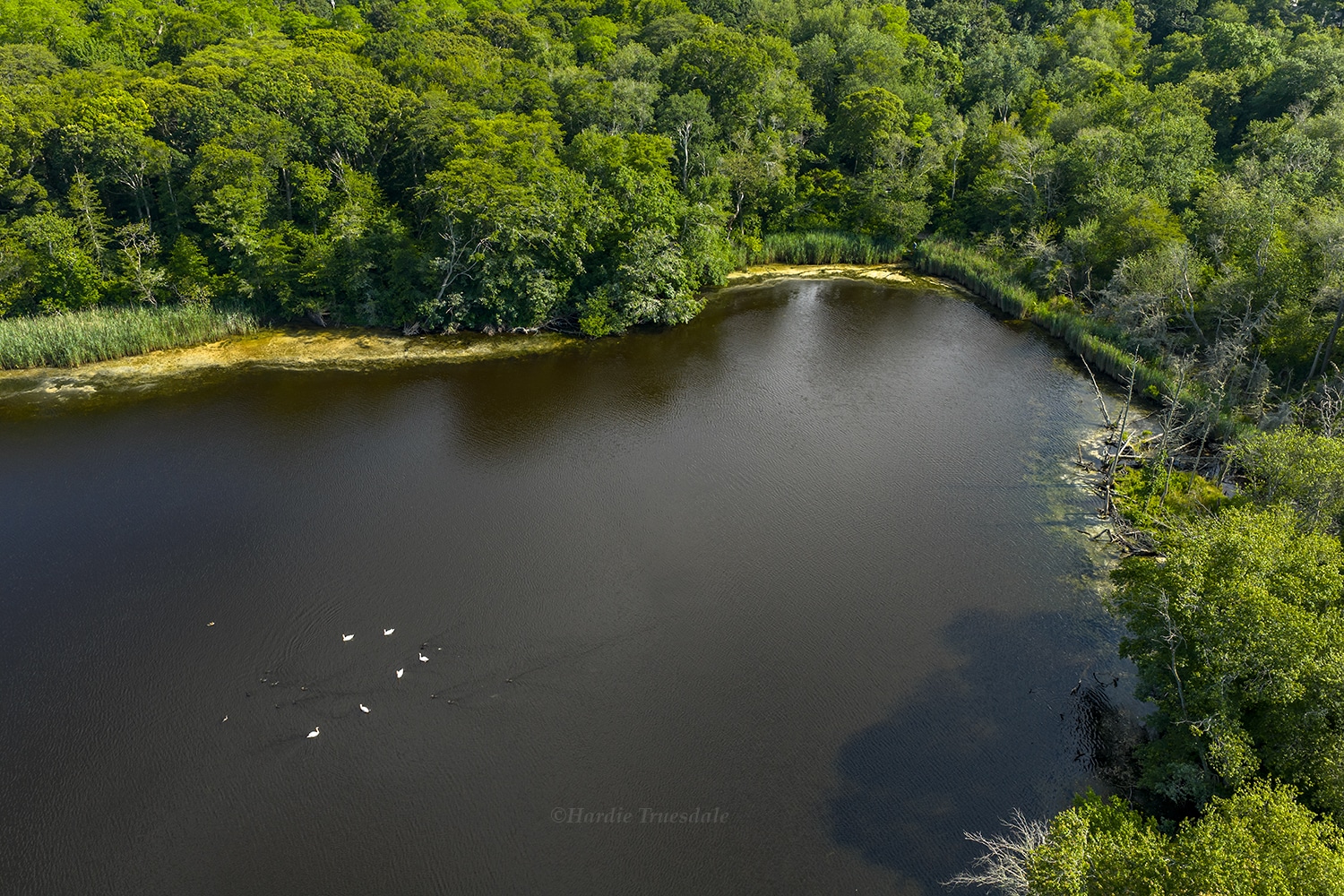 Photo © Hardie Truesdale